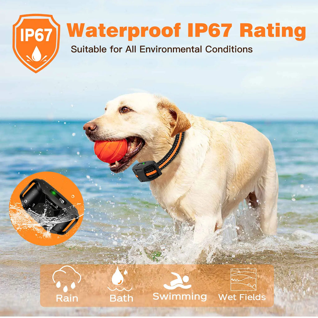 PawGuide Trainer