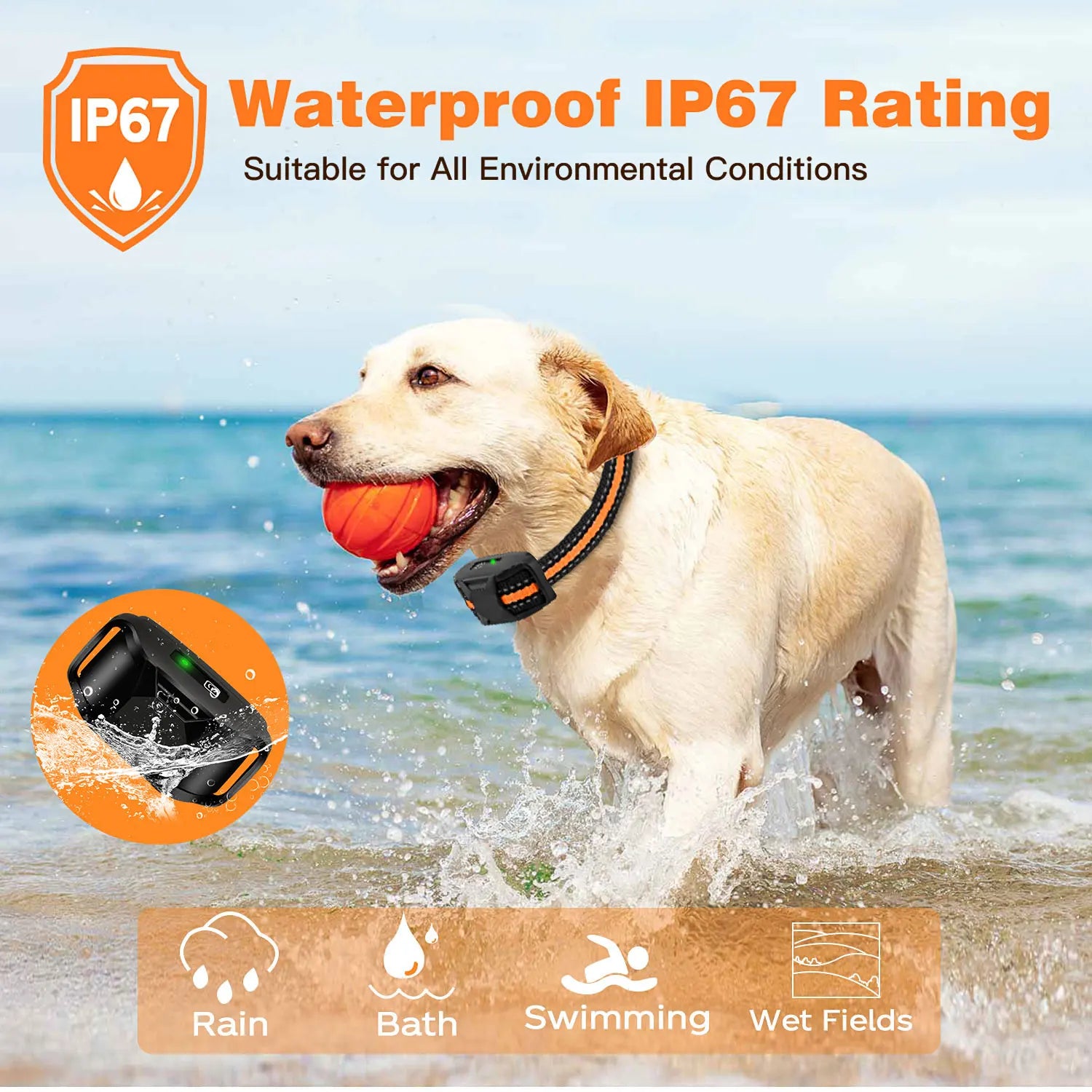 PawGuide Trainer