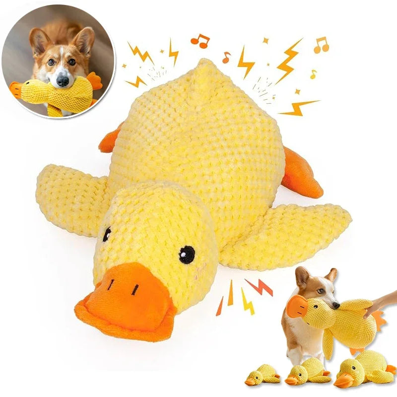 CalmDuck