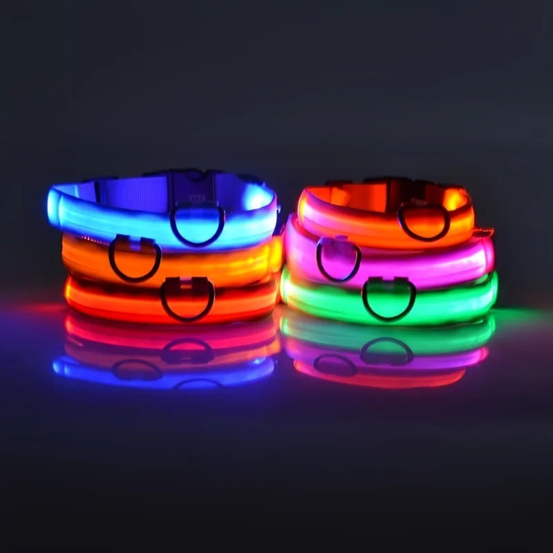 GlowPaw