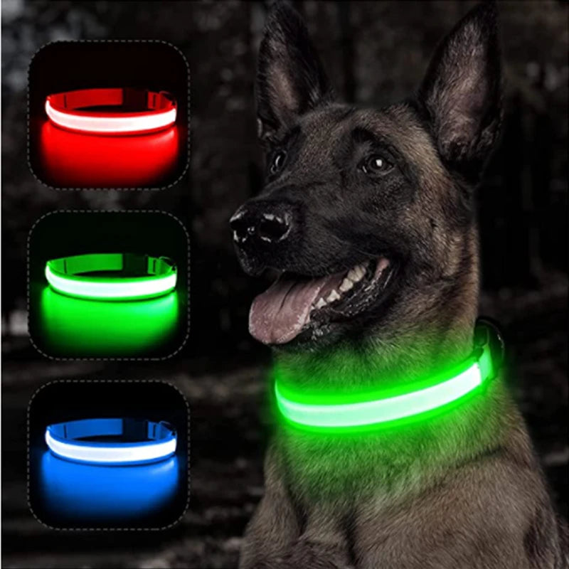 GlowPaw Safety Light Collar