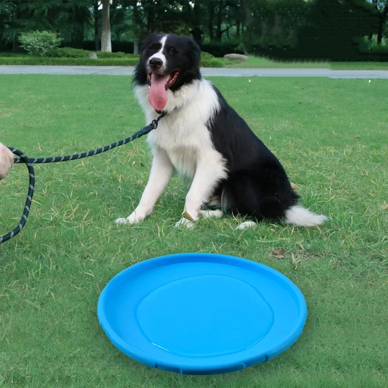 FlyPaw Interactive Dog Disc