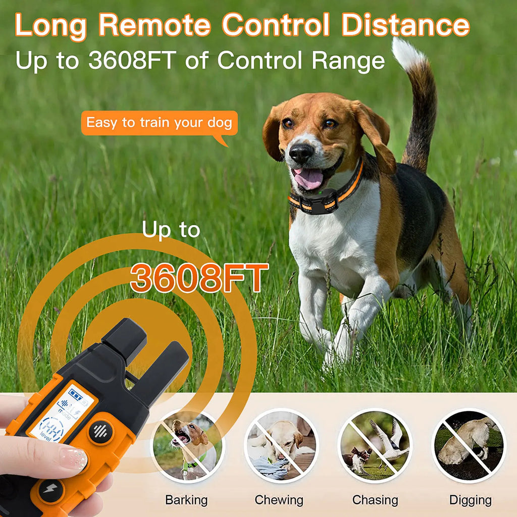 PawGuide Trainer