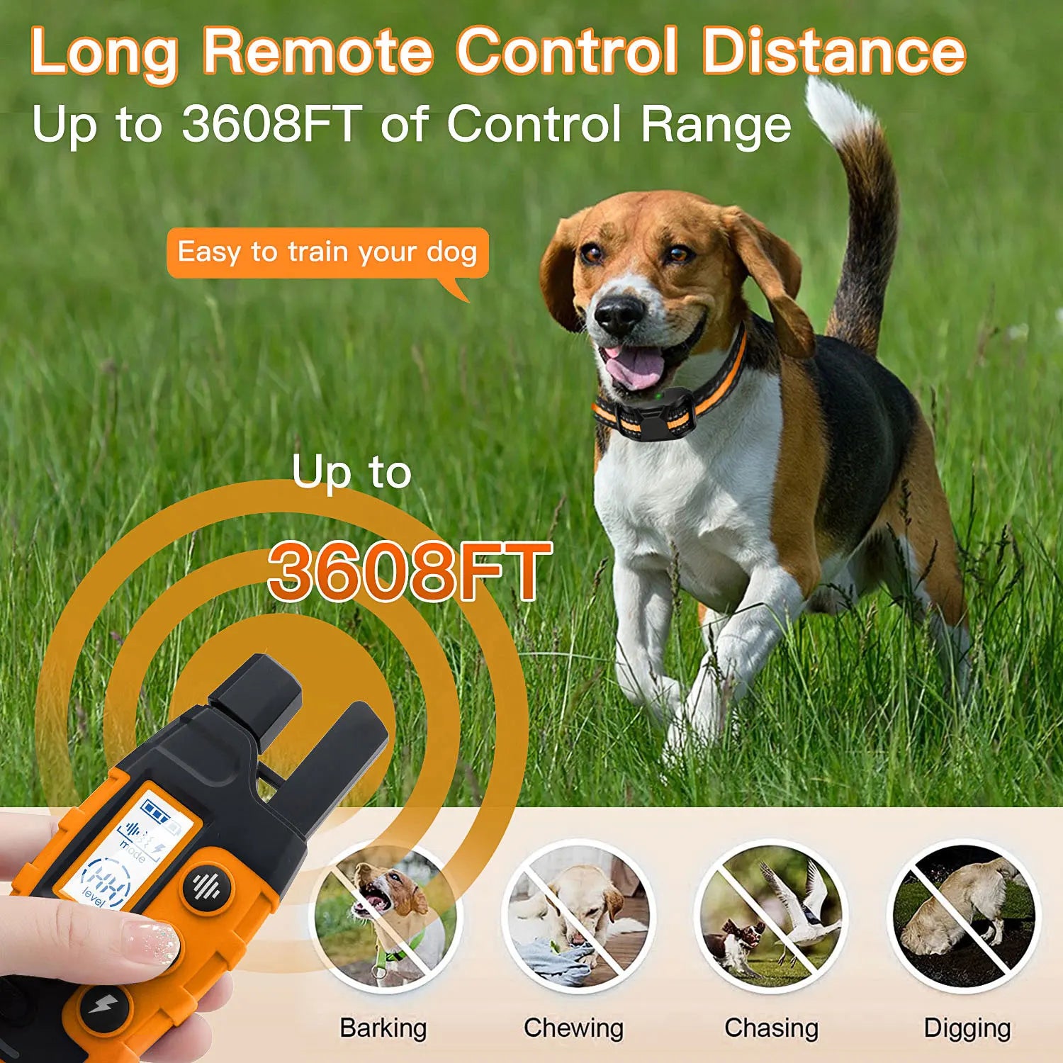 PawGuide Trainer