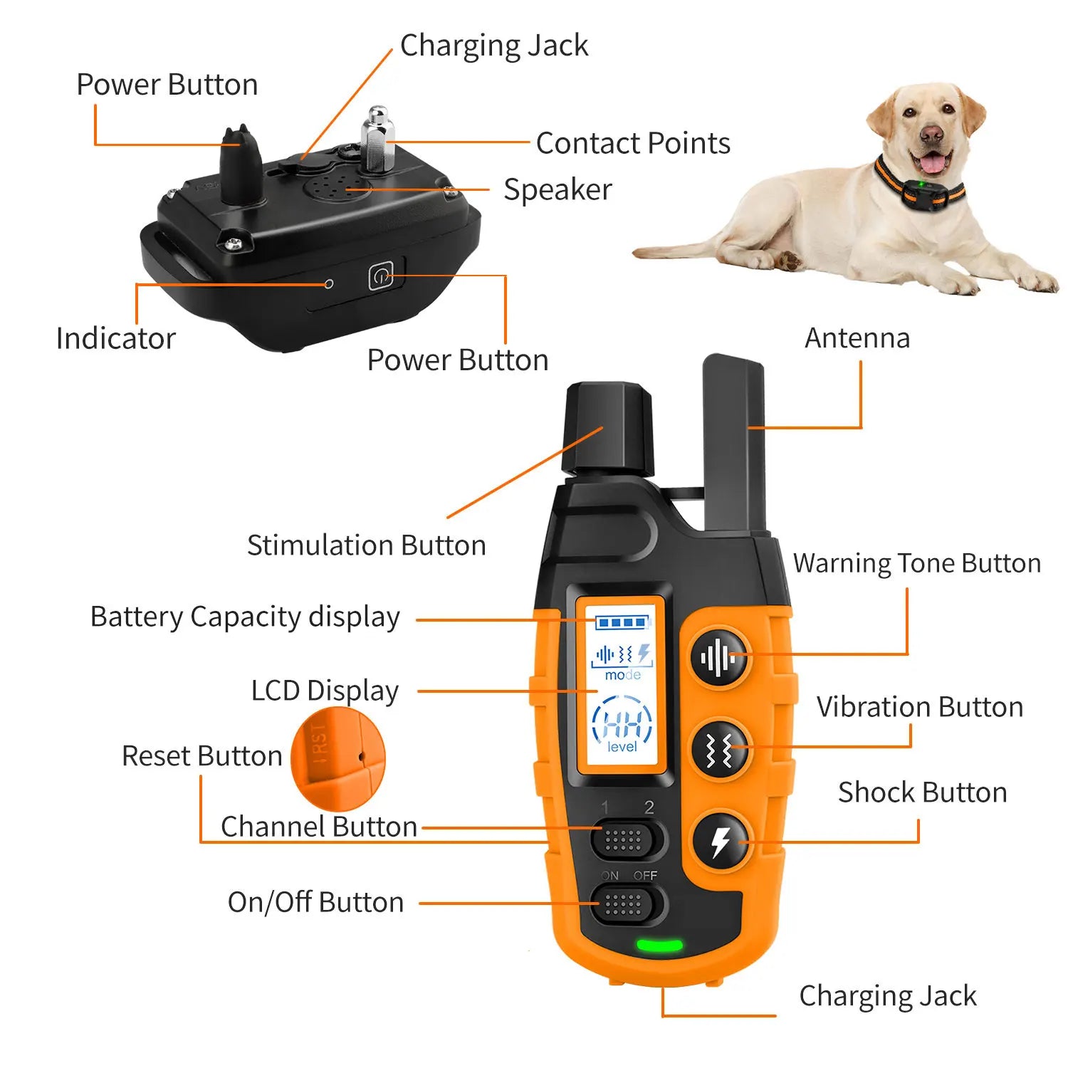 PawGuide Trainer