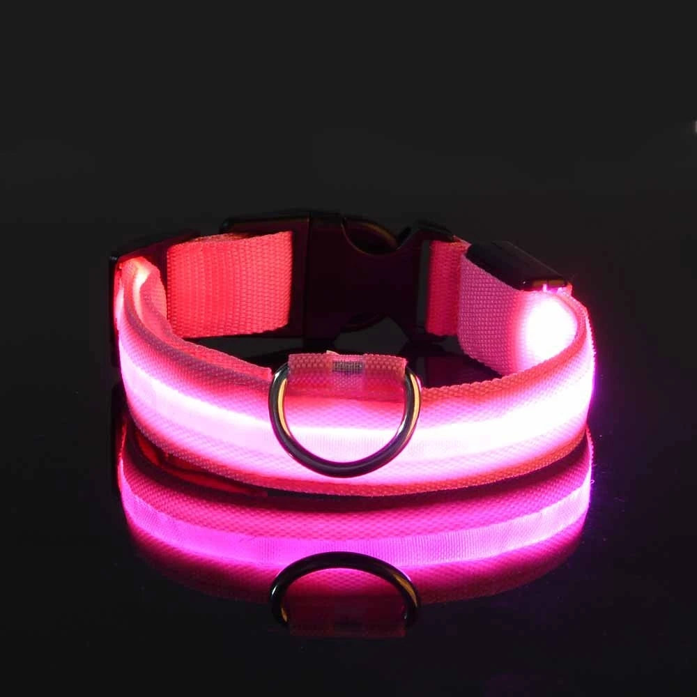 GlowPaw