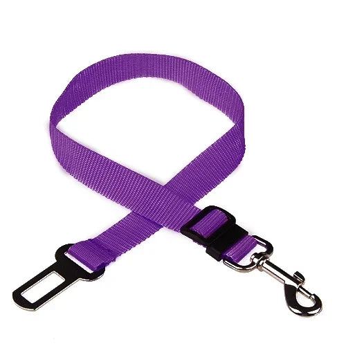 PawBuckle