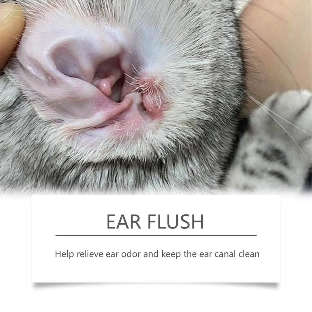 PureEar™ Pet Care – Gentle Ear Cleaning & Freshness Formula (100ml)