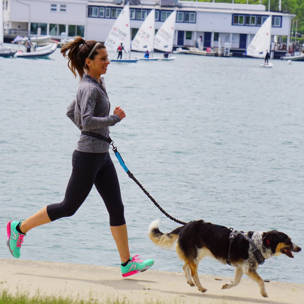 PawStride Hands-Free Dog Leash