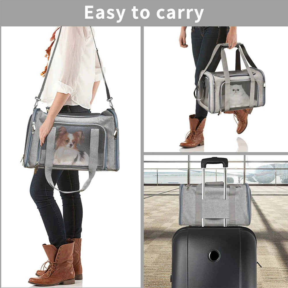 PawTravel Soft-Sided Pet Carrier