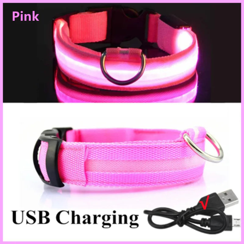 GlowPaw Safety Light Collar