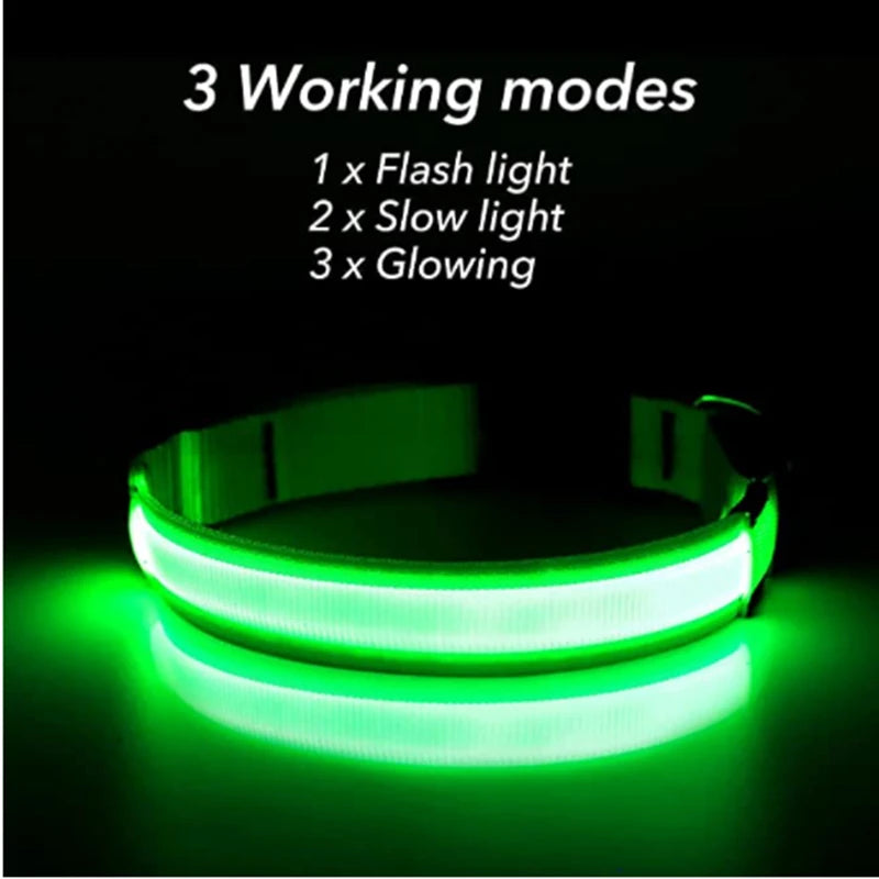 GlowPaw Safety Light Collar