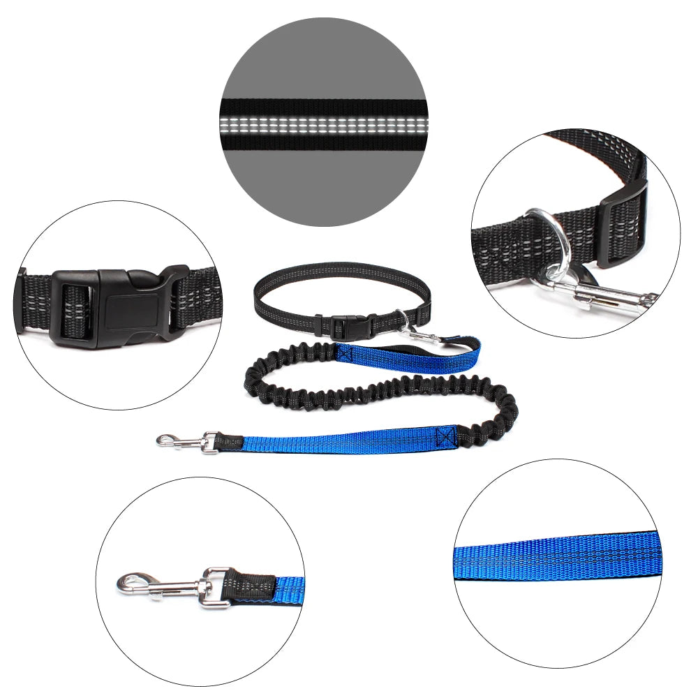 PawStride Hands-Free Dog Leash