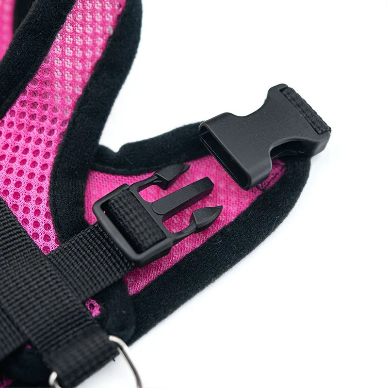 AirPaw™ Breathable No-Pull Dog Harness