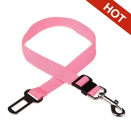 PawBuckle