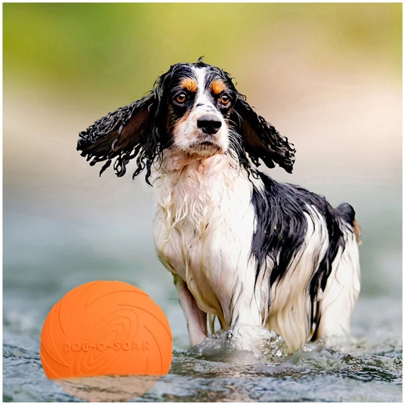 FlyPaw Interactive Dog Disc
