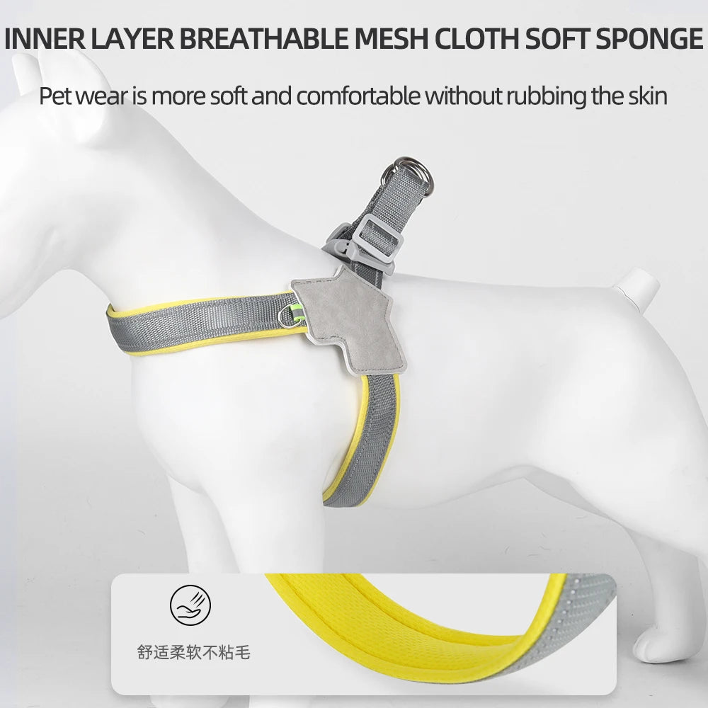 SafePaw Harness