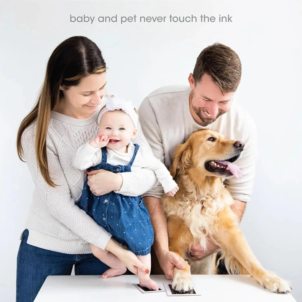 MemoriPaw