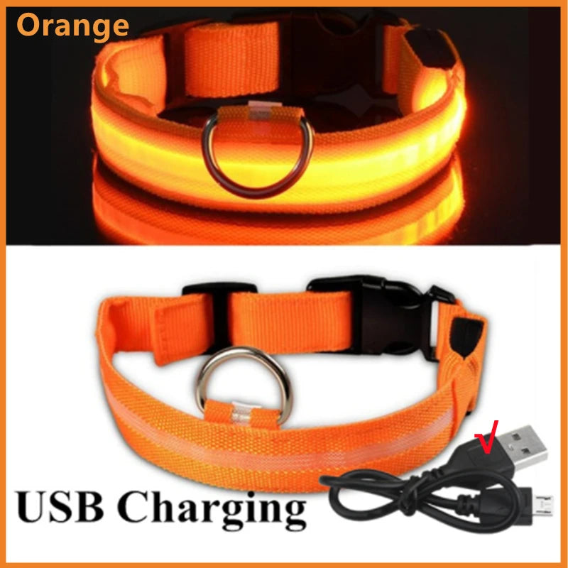 GlowPaw Safety Light Collar