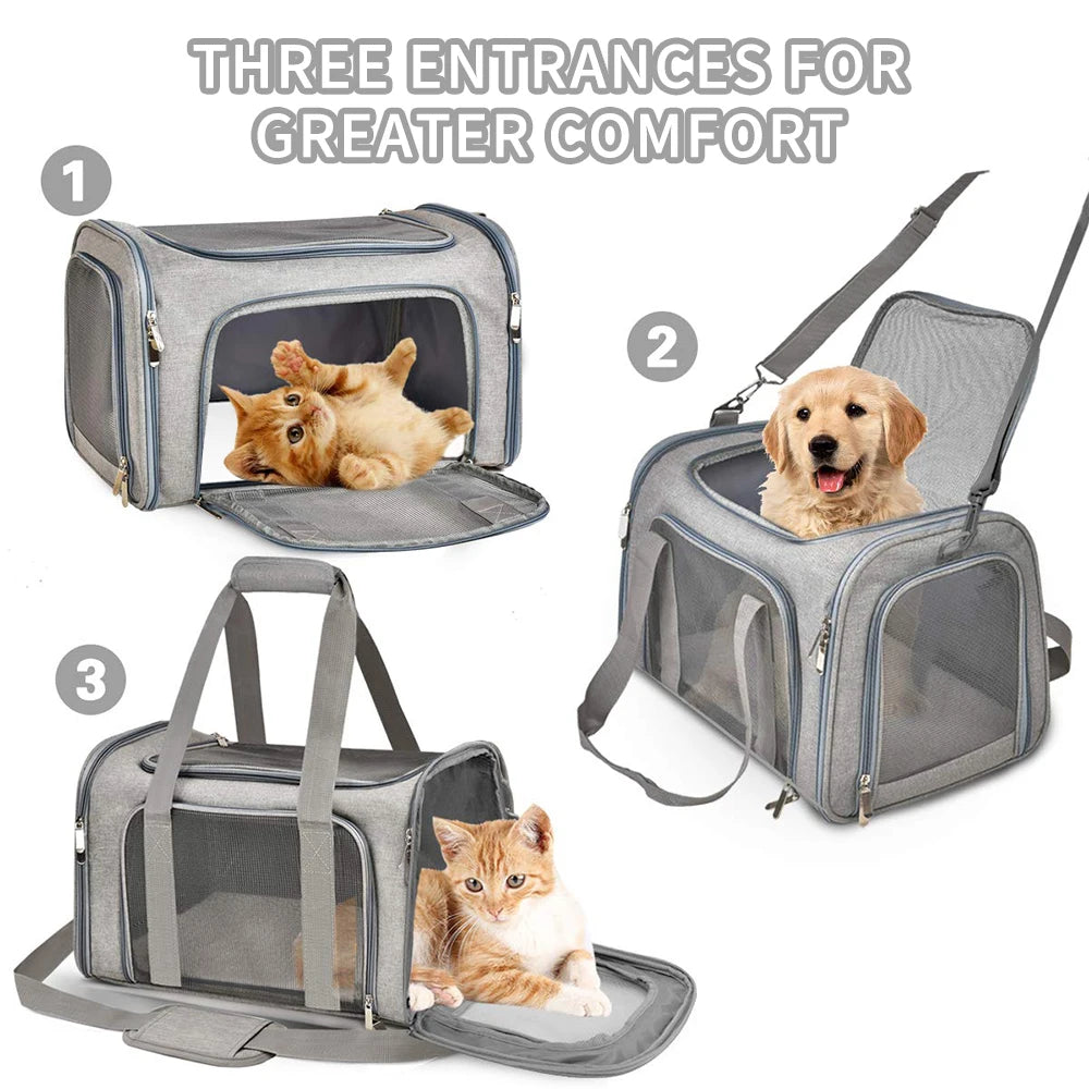 PawTravel Soft-Sided Pet Carrier