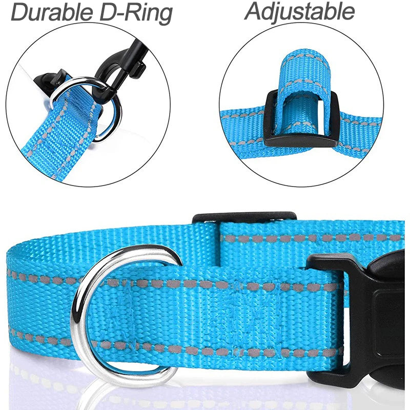 CharmPaw Pet Collar