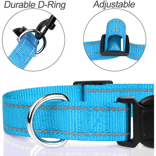 CharmPaw Pet Collar