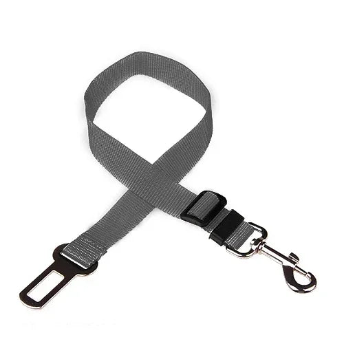 PawBuckle