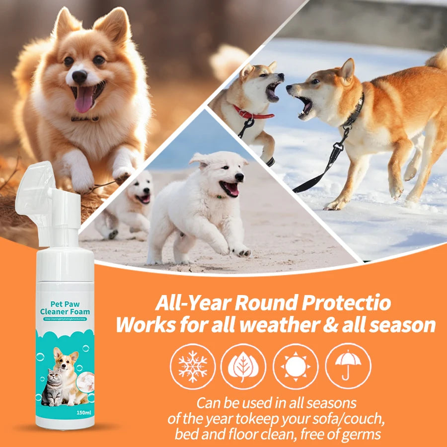 PawFresh™ Foam