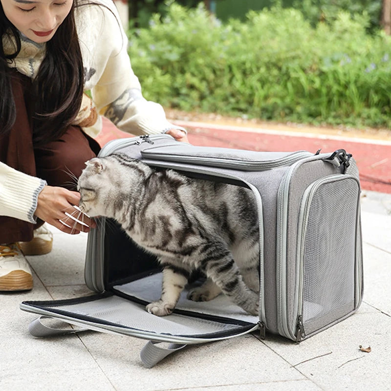 PawGo Travel Pet Carrier Bag