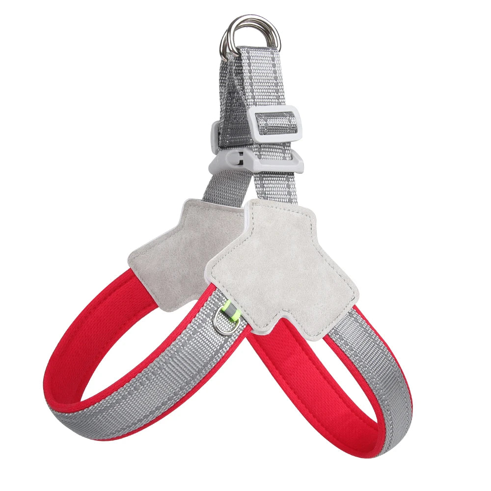 SafePaw Harness