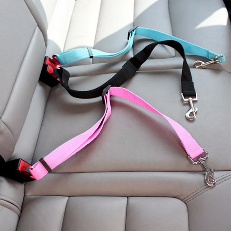 PawBuckle