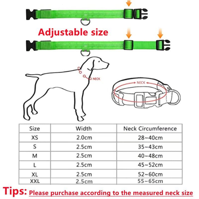 GlowPaw Safety Light Collar