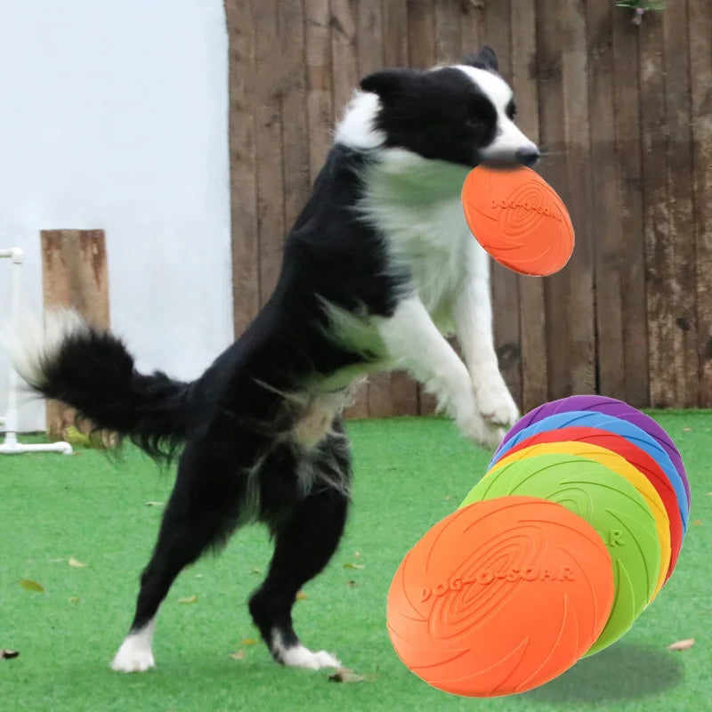 FlyPaw Interactive Dog Disc