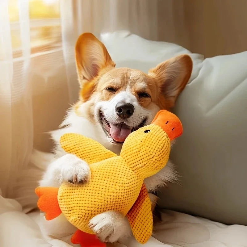 CalmDuck