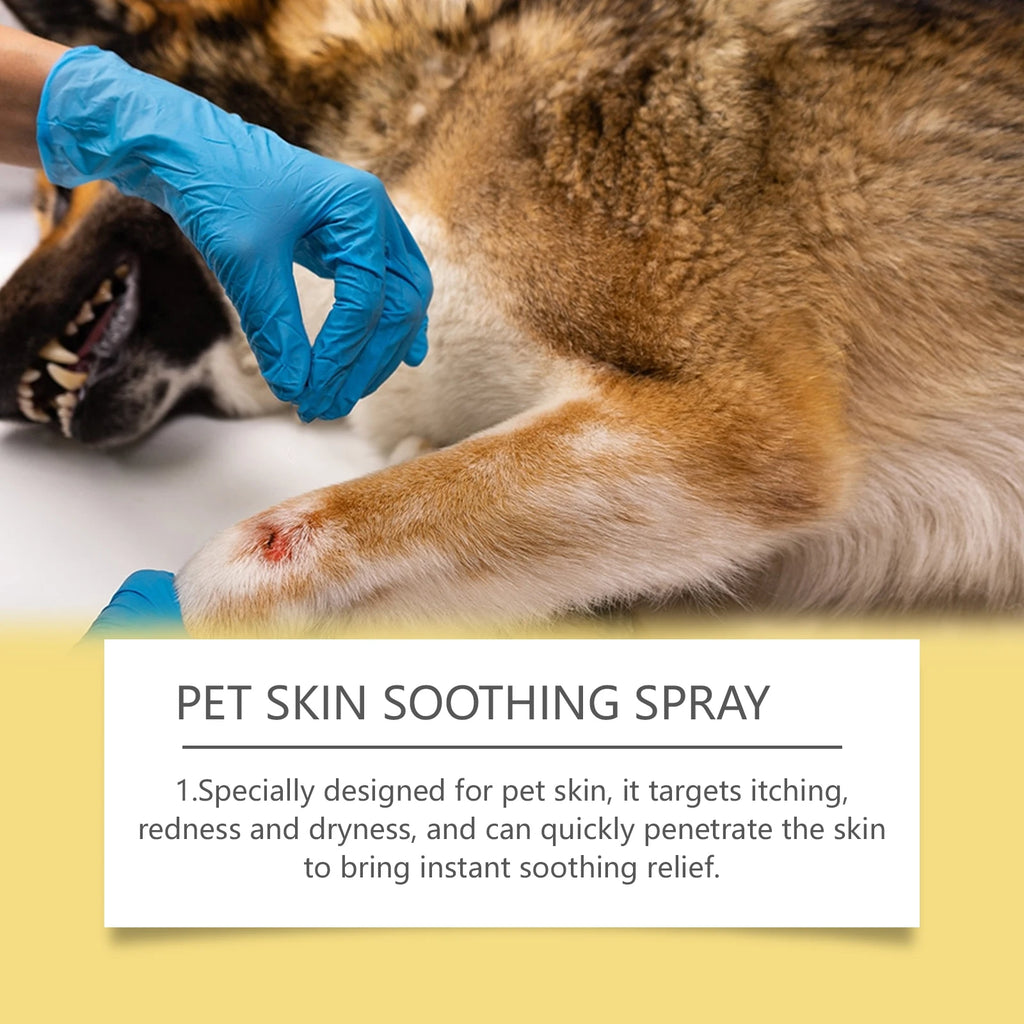SkinComfort™ Pet Spray – Soothing Skin & Coat Care for Dogs & Cats
