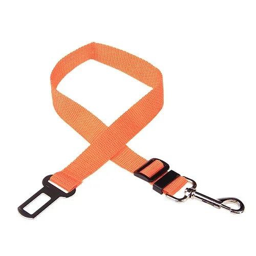 PawBuckle