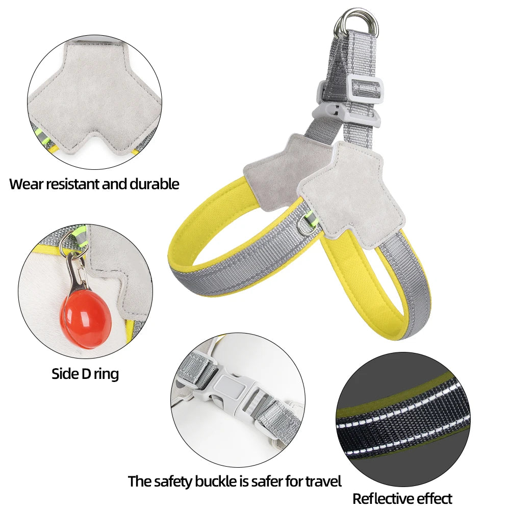 SafePaw Harness
