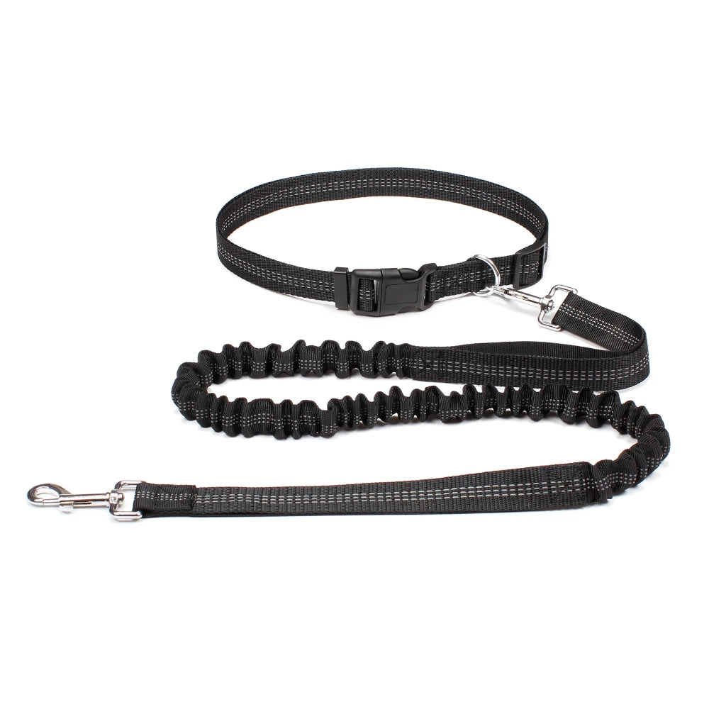 PawStride Hands-Free Dog Leash