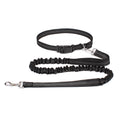 PawStride Hands-Free Dog Leash