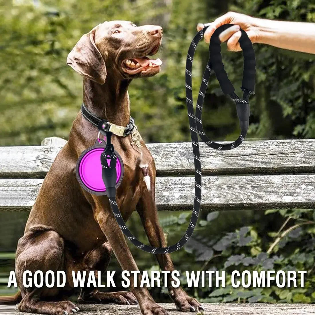 GripPaw Strong Dog Leash